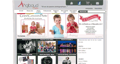 Desktop Screenshot of angibaudphoto.com